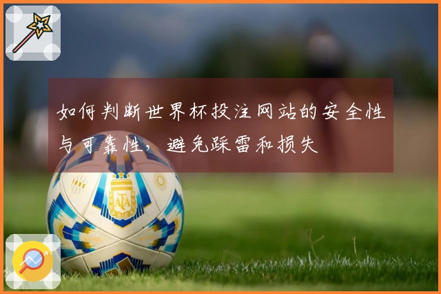 如何判断世界杯投注网站的安全性与可靠性，避免踩雷和损失