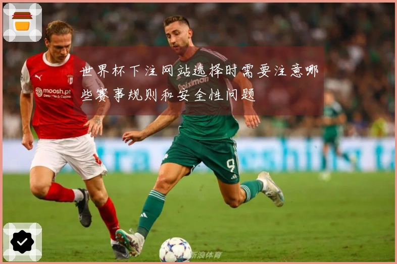世界杯下注网站选择时需要注意哪些赛事规则和安全性问题
