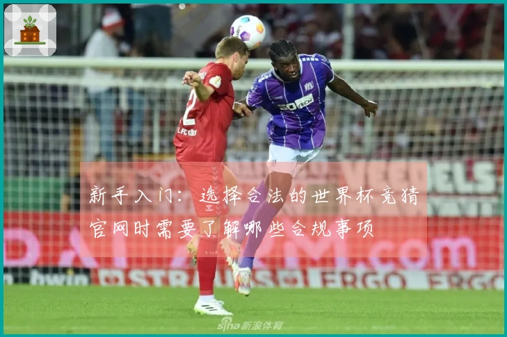 新手入门：选择合法的世界杯竞猜官网时需要了解哪些合规事项