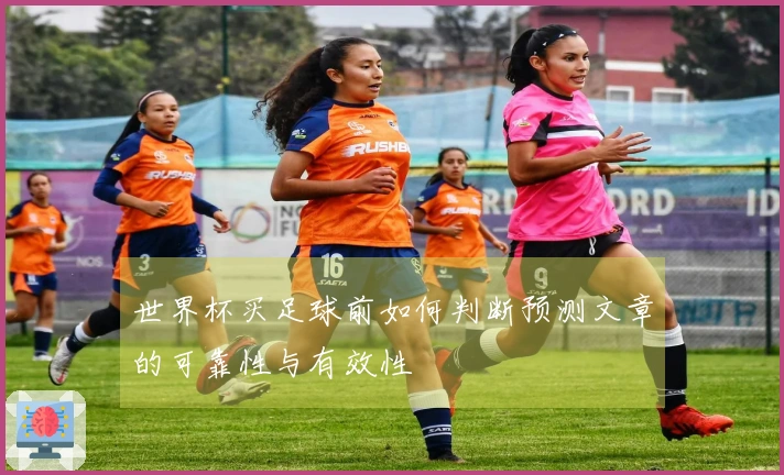 世界杯买足球前如何判断预测文章的可靠性与有效性